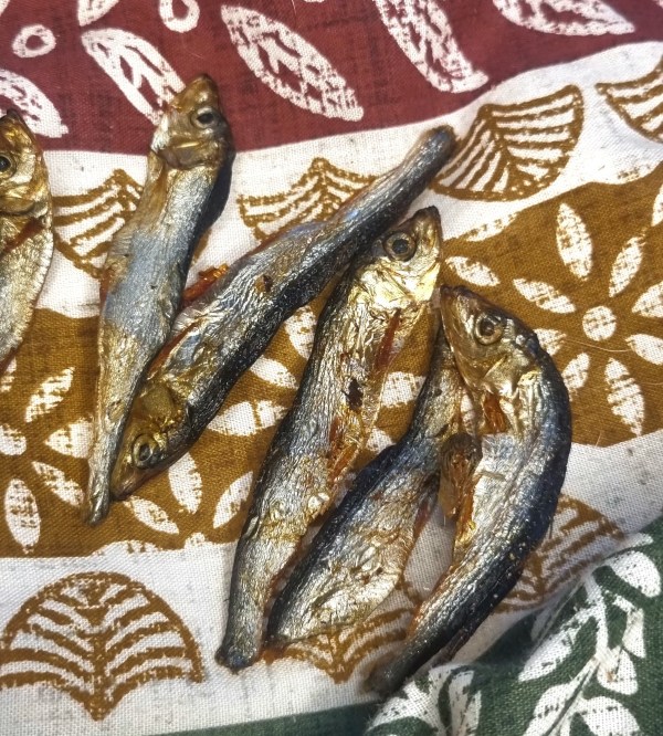 20231219_131647 Baltic Sprats