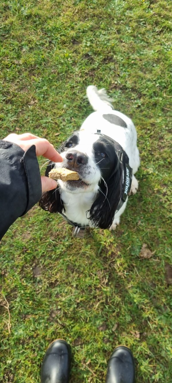 20231222_120416 Cod bar