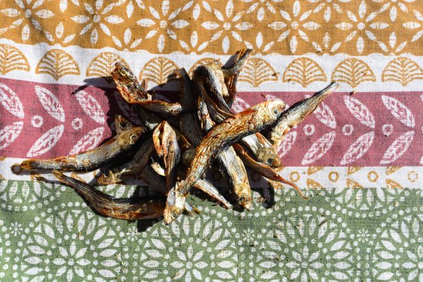 DSC_1569 Baltic Sprats