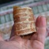 Trachea pieces