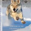 "History of the Czechoslovakian Vlciak Breed"