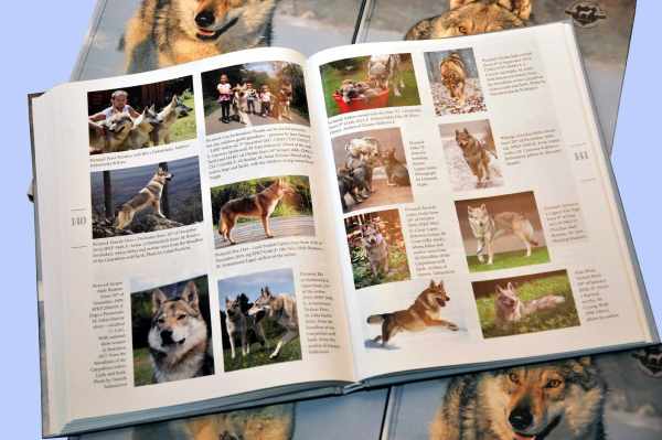 "History of the Czechoslovakian Vlciak Breed"