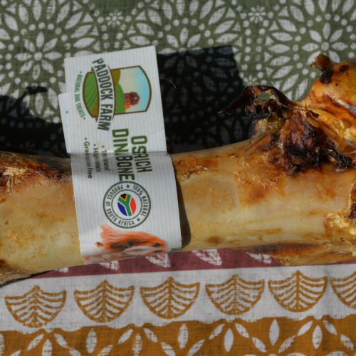Ostrich Dino Bone