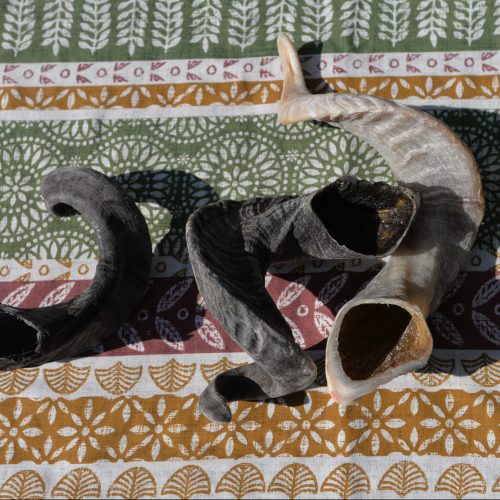 Lamb Horn