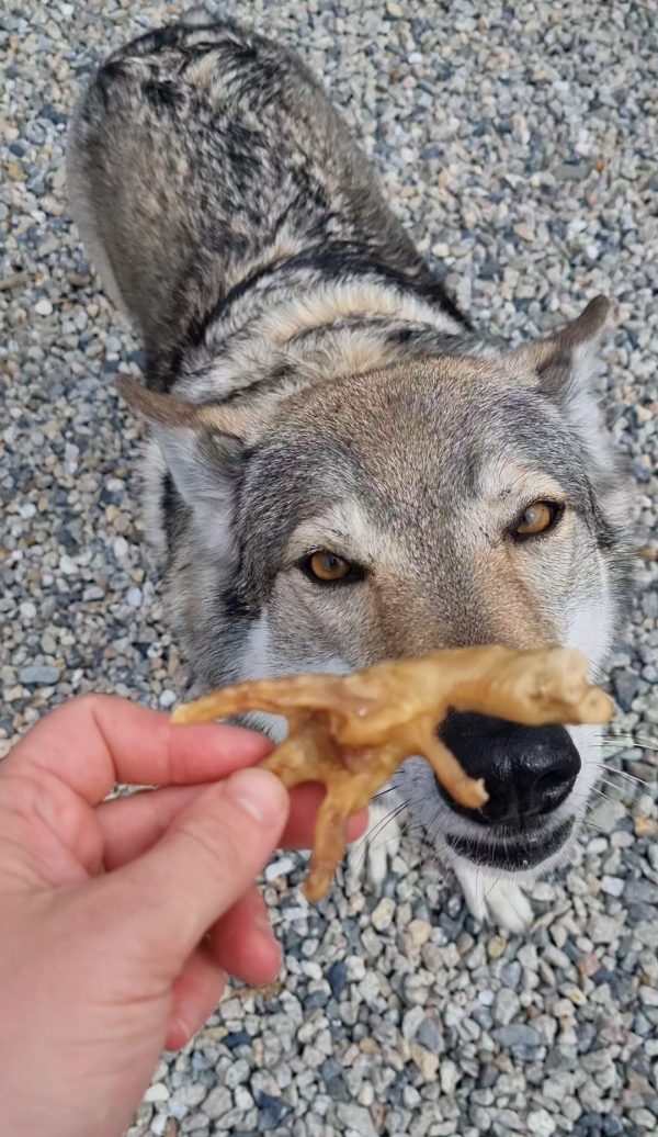 Chicken Feet